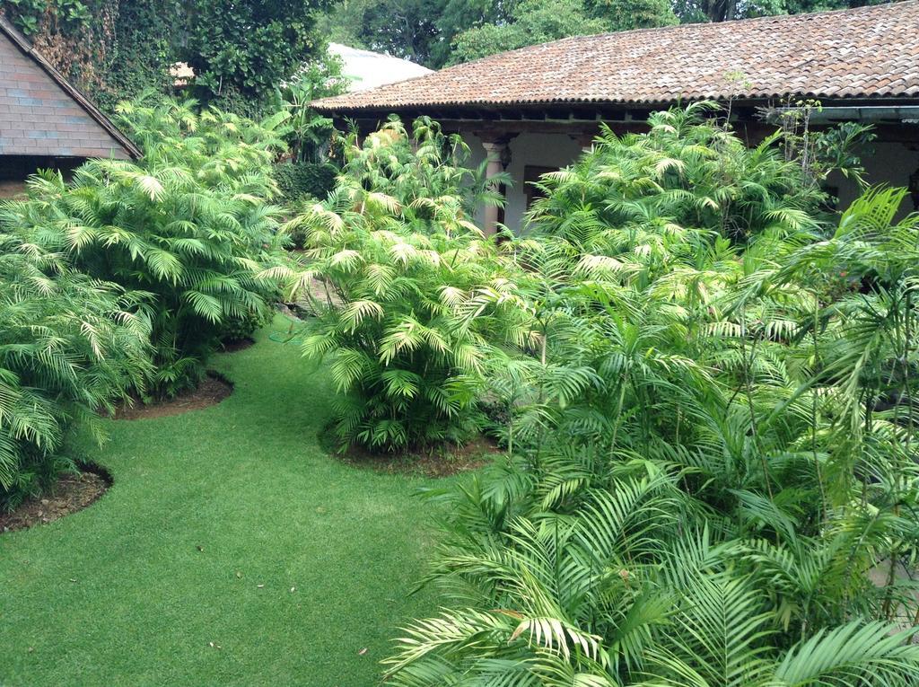 Hacienda San Pedro 호텔 Uruapan  외부 사진